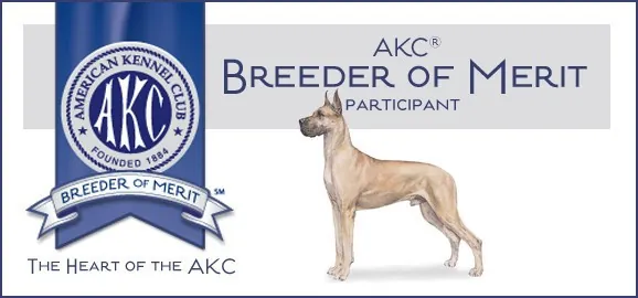 AKC Breeder of Merit participant badge