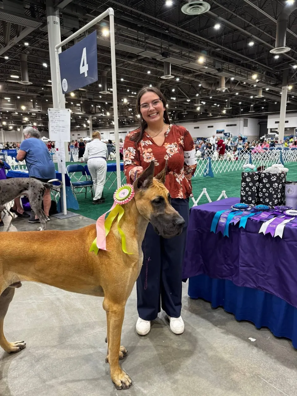 Blazer with ribbons at the 2025 Houston dog shows