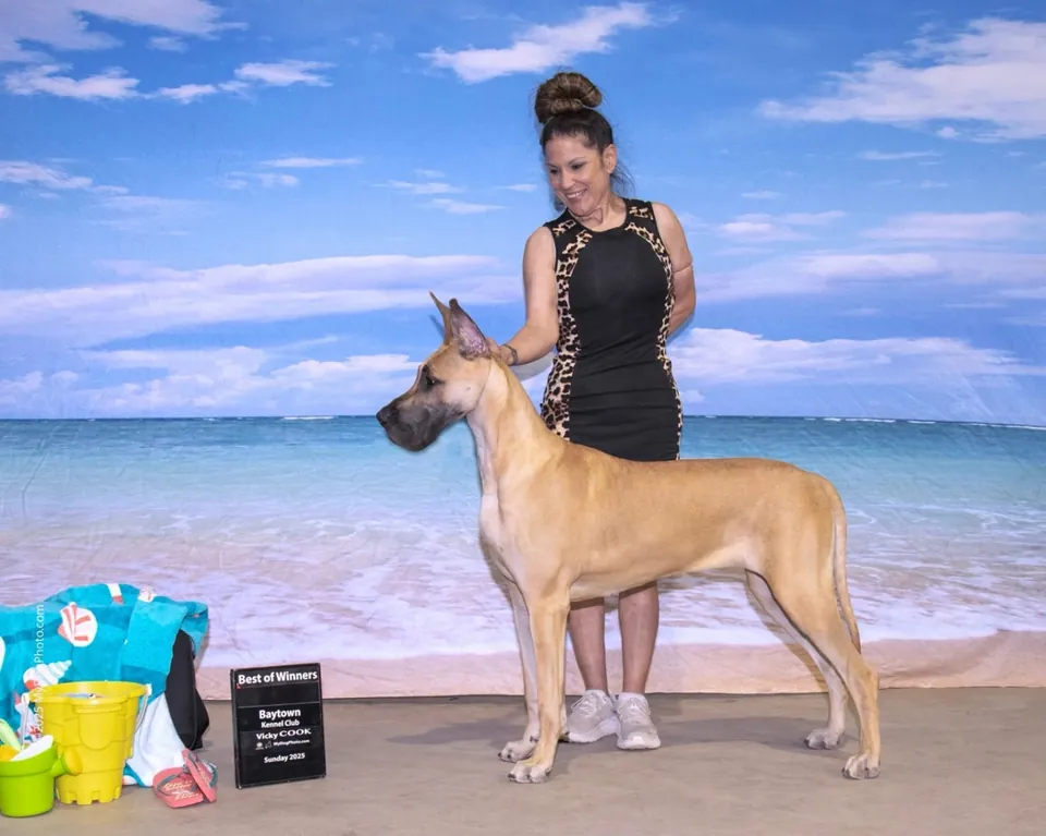 Neera stacked with her handler in front of a beach backdrop